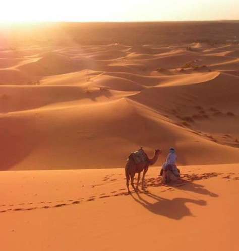 Location de voiture à Ouarzazate pour faire un road trip jusqu'aux dunes de Merzouga
